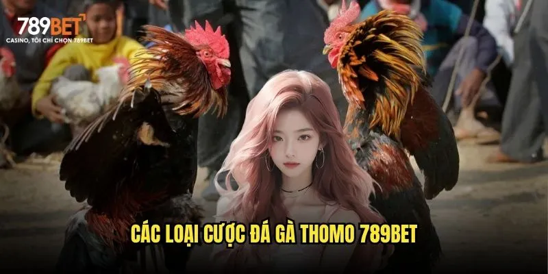 Các loại cược đá gà Thomo 789bet