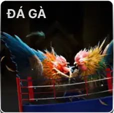 g7